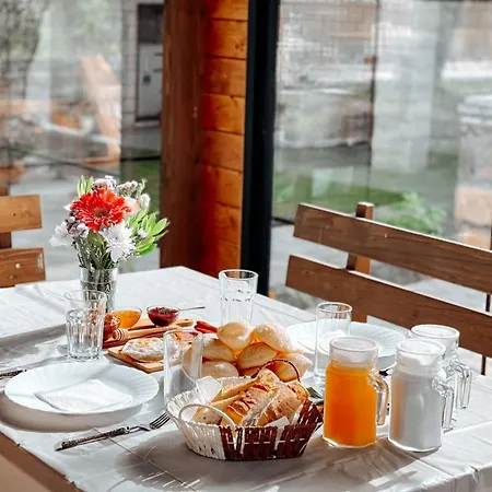 Hotel Alpini *