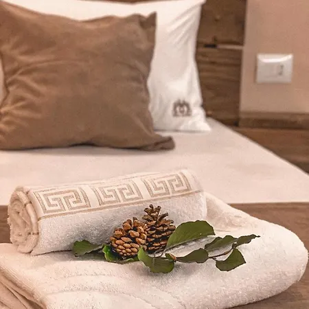 Hotel Alpini *