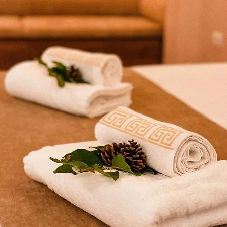 Hotel Alpini *