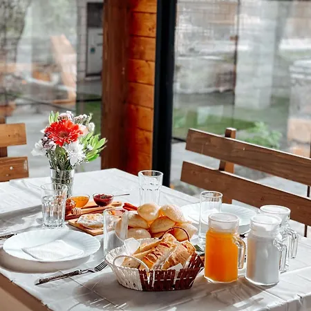 Hotel Alpini *