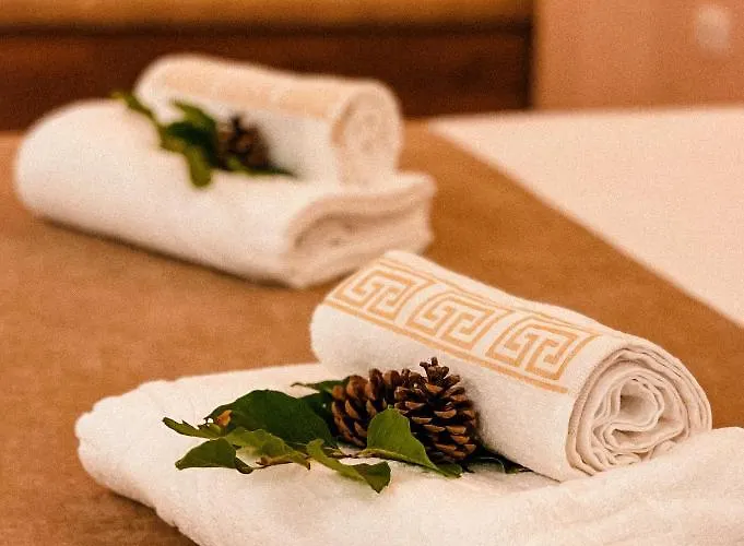 Hotel Alpini *