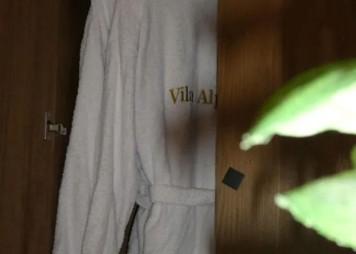 Alpini Hotel *